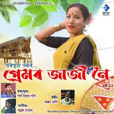 Premor Jaji Noi - Parishmita Pori album cover 