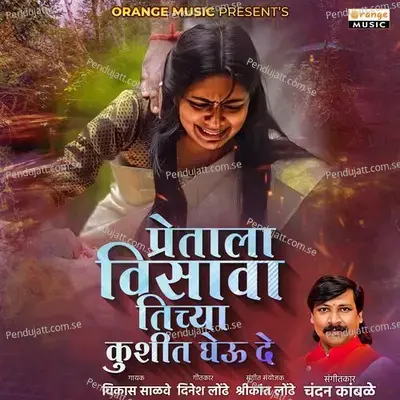 Pretala Visawa Tichya Khushit Gheu De - Vikas Salve album cover 