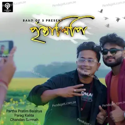 Pristhalipi - Partha Pratim Baishya album cover 