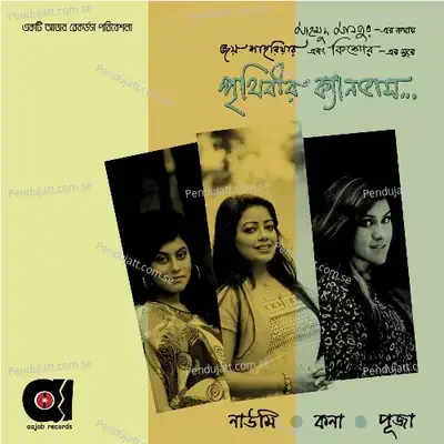 Prithibir Canvas - Puja album cover 