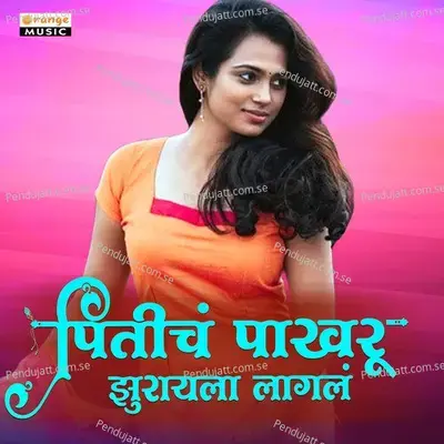 Priticha Pakhru Jhurayala Lagla - Sachin Khande album cover 