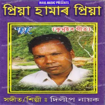 Mayer Dhal Baje - Dilip Nayak album cover 