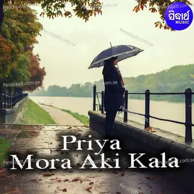 Sata Janamaku Katha Deithila - Kumar Bapi album cover 