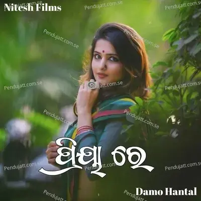 Priya Re - Damo Hantal album cover 