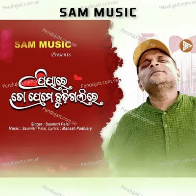 Priya Re To Preme Budigali Re - Saumitri Palai album cover 