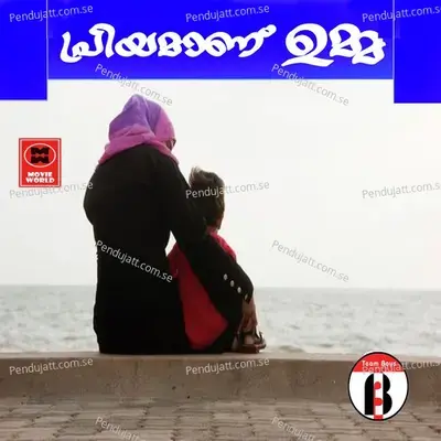 Thulikakkezhuthan - Hisham Veeriambram album cover 