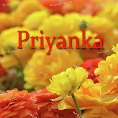 Nila - Priyanka Bharali album cover 