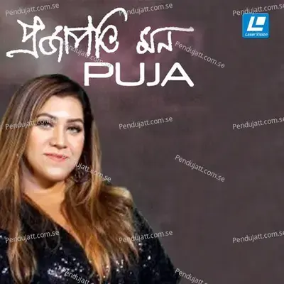 Meghla Dupur - Puja album cover 