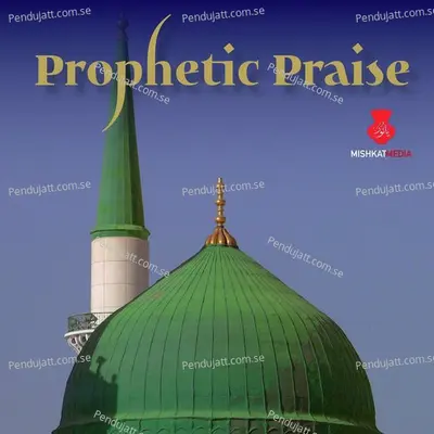 Prophetic Praise - Various Artists cover album