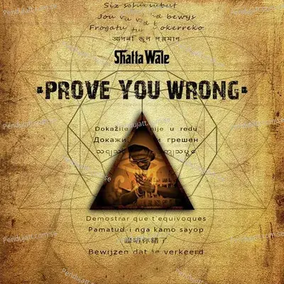 Prove You Wrong - Shatta Wale album cover 