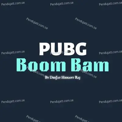 Pubg Boom Bam - DeeJay Hemant Raj album cover 