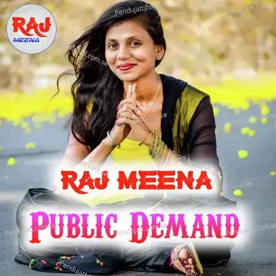 Public Demand - Raj Meena album cover 
