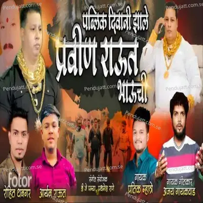 Public Diwani Zale Pravin Raut Bhauchi - Ajay Gaikwad album cover 