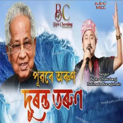 Pubore Arun Duronta Tarun - Bipin Chawdang album cover 