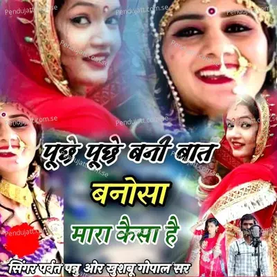 Puche Puche Bani Baat Banosa Mara Kesa Hai - Parvat Pannu album cover 