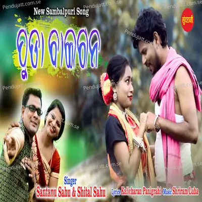 Puda Baigan - Santanu Sahu album cover 