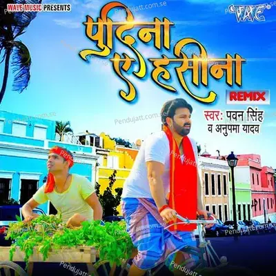 Pudina Ae Haseena - Pawan Singh album cover 
