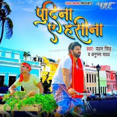 Pudina Ae Haseena - Pawan Singh album cover 