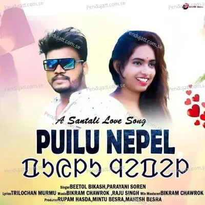 Puilu Nepel - Beetol Bikash album cover 