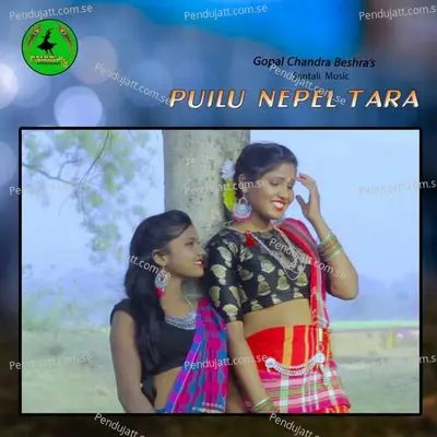 Puilu Nepel Tara - Gopal Chandra Beshra album cover 