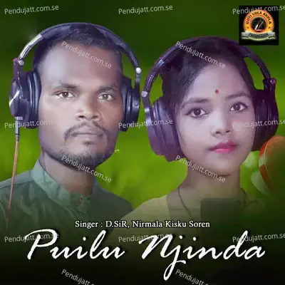 Puilu Njinda - D.sir album cover 