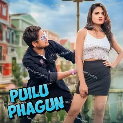 Puilu Phagun - Miru Chene Tudu album cover 