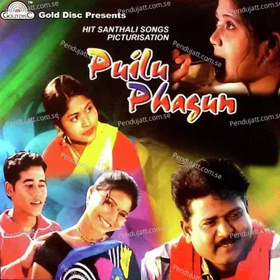 Puilu Phagun - Sawan album cover 