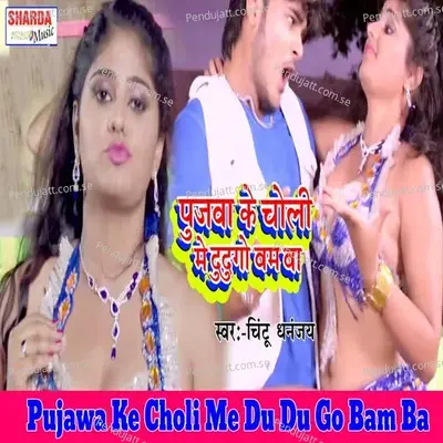 Pujawa Ke Choli Me Du Du Go Bam Ba - Chintu Dhananjay album cover 