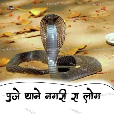 Puje Thane Nagari Ra Log - Bhoma Ram Panwar album cover 