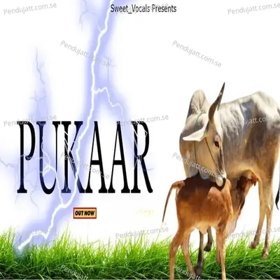 Pukaar - Badal
