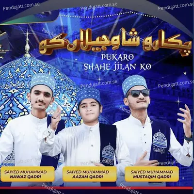 Pukaro Shahe Jilan Ko - Saiyed Muhammad Nawaz Qadri album cover 