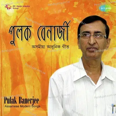 Kathare Geetere Nowari - Pulak Banerjee album cover 