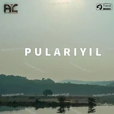 Pulariyil - Afzal Yusuff album cover 