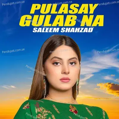 Pulasay Gulab Na - Saleem Shahzad album cover 