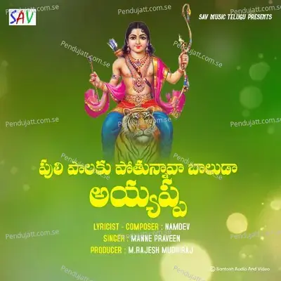 Puli Palaku Pothunava Baluda Ayyappa - Manne Praveen album cover 