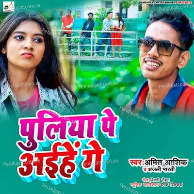 Pulia Pe Aihe Ge - Amit Ashik album cover 