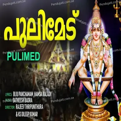 Pulimed - Various Artists cover album