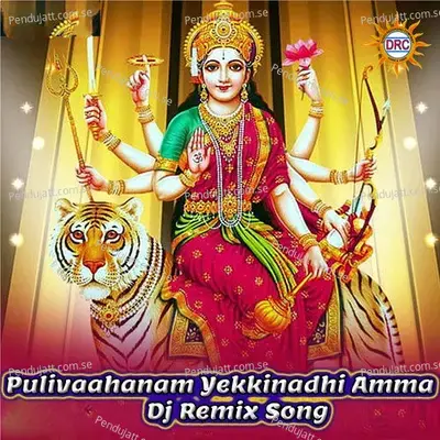 Pulivaahanam Yekkinadhi Amma - Warangal Shankar album cover 