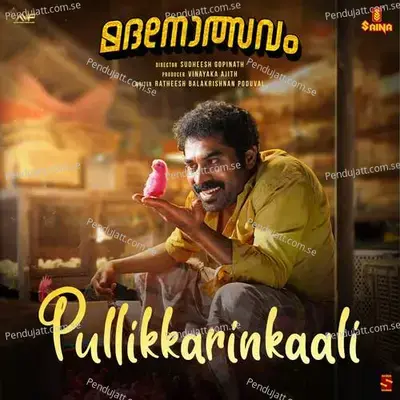 Pullikkarinkaali - Christo Xavier album cover 