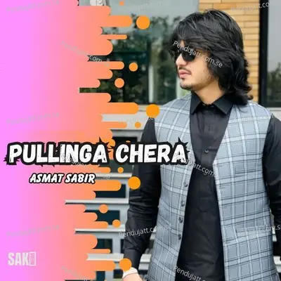 Pullo Gulshan - Saleem Shahzad album cover 