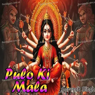 Pulo Ki Mala - Sarvesh Singh album cover 