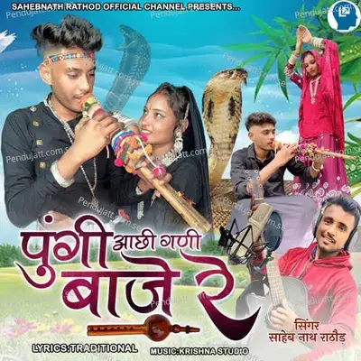 Pungi Acchi Gani Baje Re - Saheb Nath Rathod album cover 