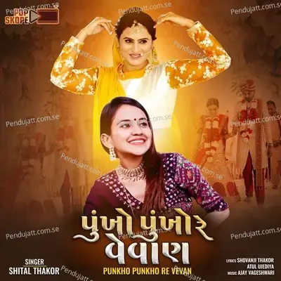 Punkho Punkho Re Vevan - Shital Thakor album cover 