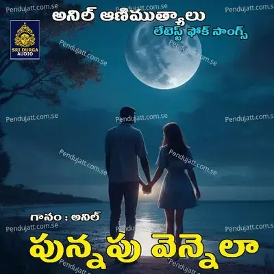 Punnapu Vennelaa - Anil Kumar album cover 