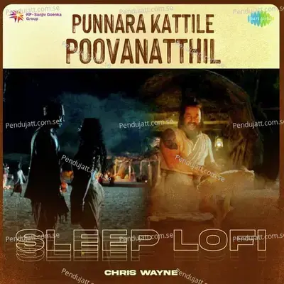 Punnara Kattile Poovanatthil - Sleep Lofi - Chris Wayne album cover 