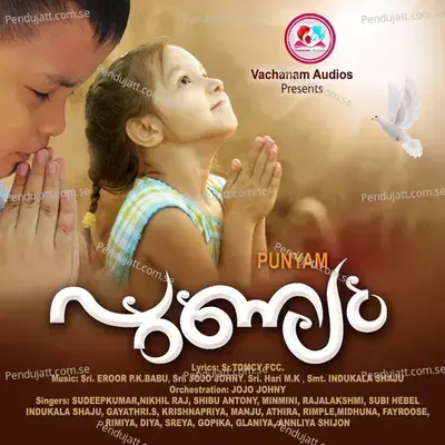 Akshara Ponnin - Indukala Shaju album cover 