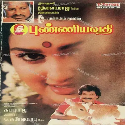 Adi Paninja Alli - Ilaiyaraaja album cover 