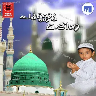 Pukal Pathi - Faisal Karad album cover 