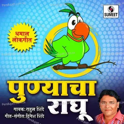 Punyacha Raghu - Rahul Shinde album cover 