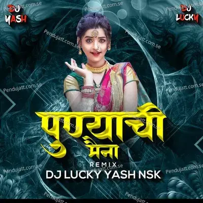 Punyachi Maina Remix - Dj Lucky Yash Nsk album cover 